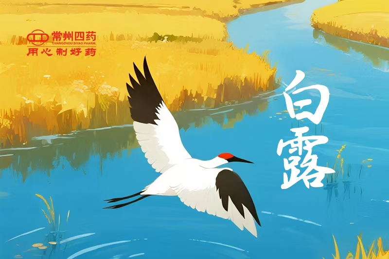 今日白露 | 一夜凉一夜，，，，，，，鸿雁南归时
