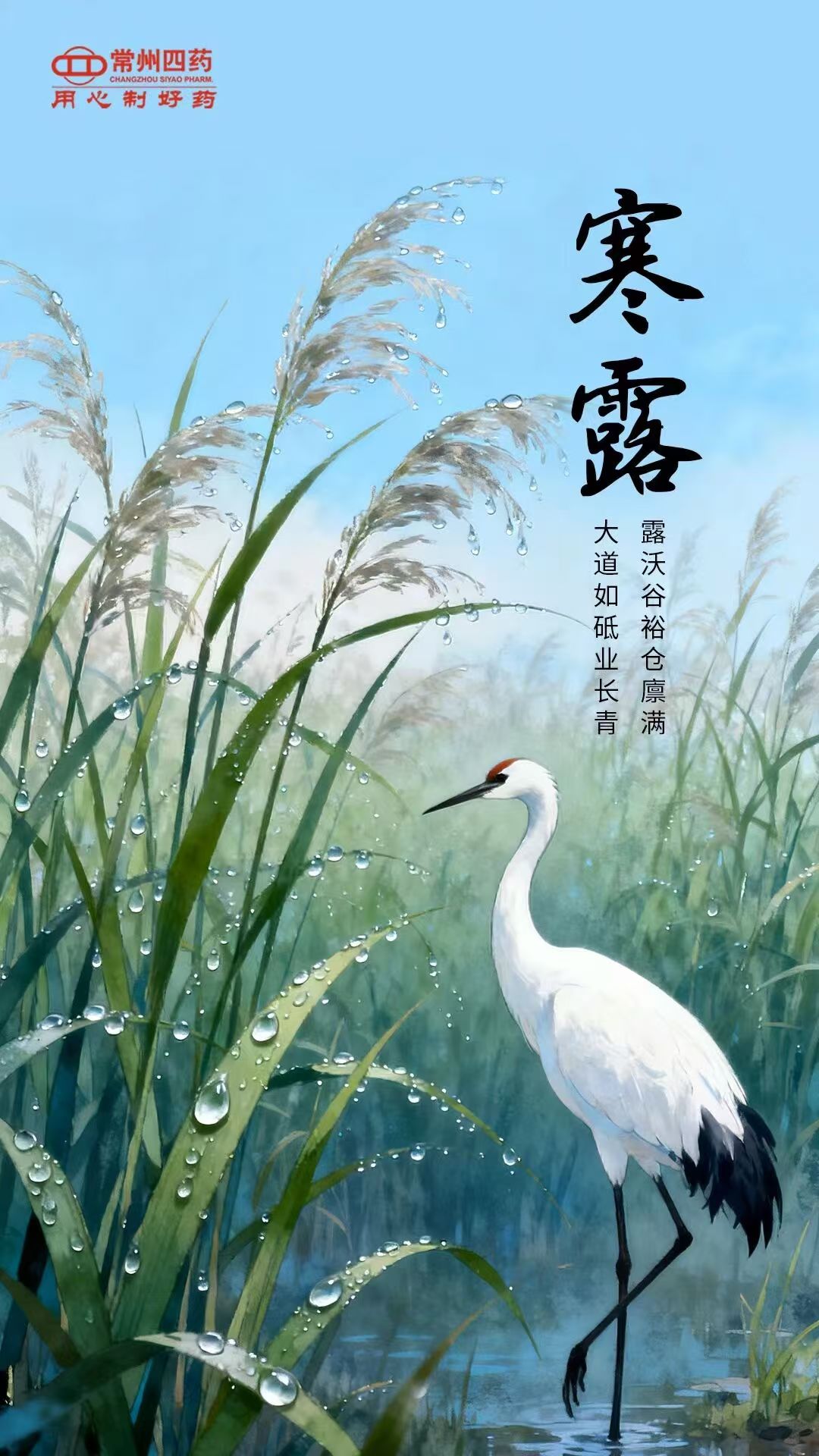 今日寒露|露重凉爽，，，，，，，，记得添衣